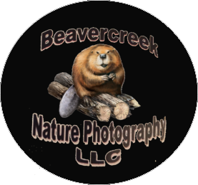 Beavercreek Logo
